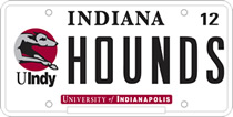 Greyhound License Plate